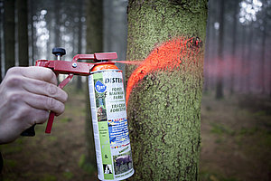 Distein Forstmarkierfarbe Neon
